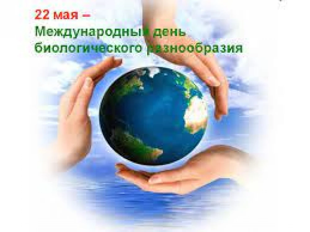 22 МАЯ – МЕЖДУНАРОДНЫЙ ДЕНЬ БИОЛОГИЧЕСКОГО РАЗНООБРАЗИЯ